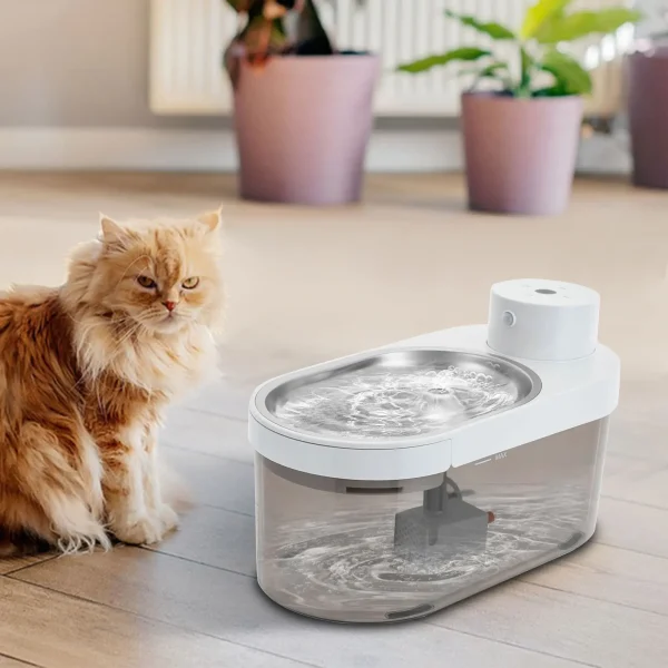 Pet Water Dispenser
