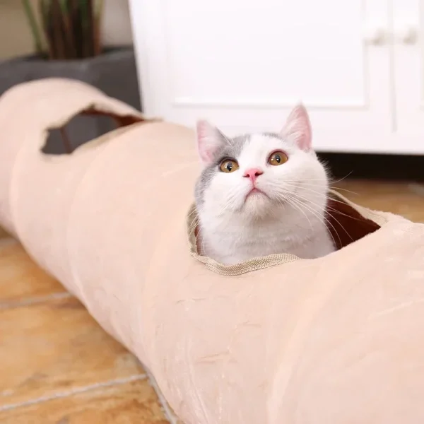 Big Long Cat Tunnel