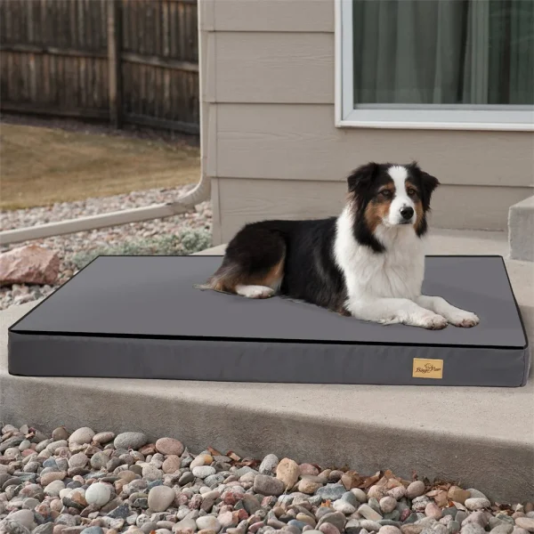 Large Orthopaedic Dog Bed Cushion